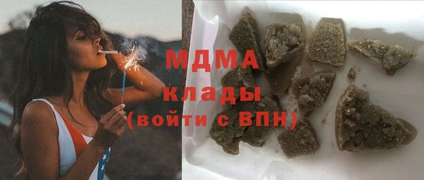 хмурый Алексин
