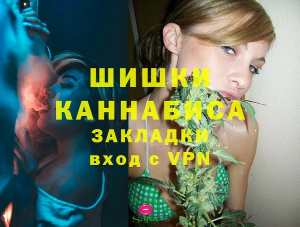 шишки Алзамай