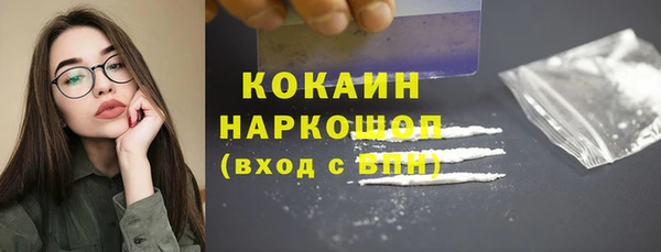 хмурый Алексин