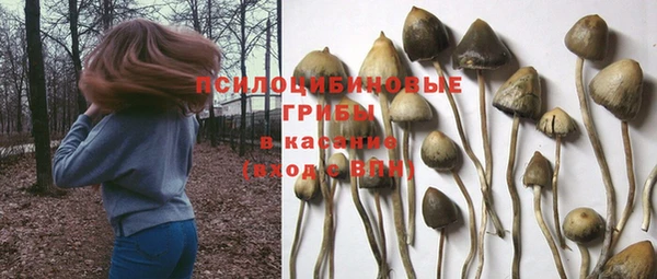 хмурый Алексин