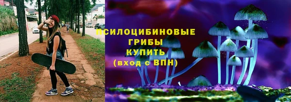 шишки Алзамай