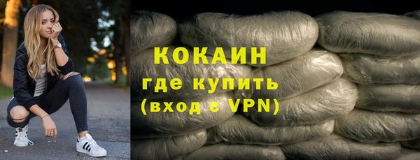 шишки Алзамай
