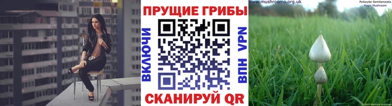 Галлюциногенные грибы Magic Shrooms  Среднеколымск 